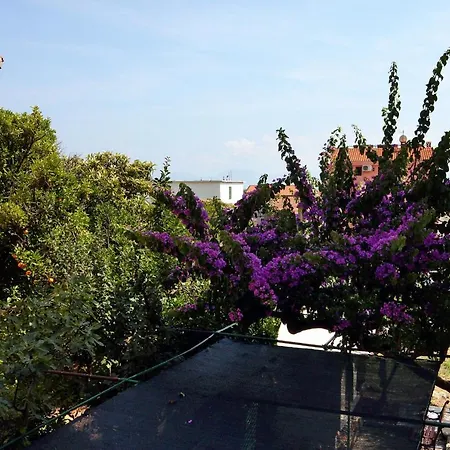Apartamento By The Sea Donja Vala, Makarska - 6701 Drvenik (Split-Dalmatia)